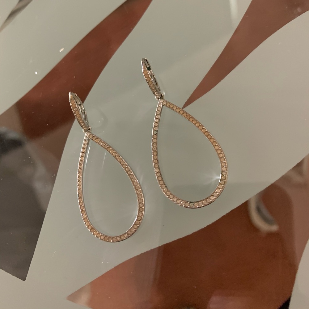 Gorgeous earrings